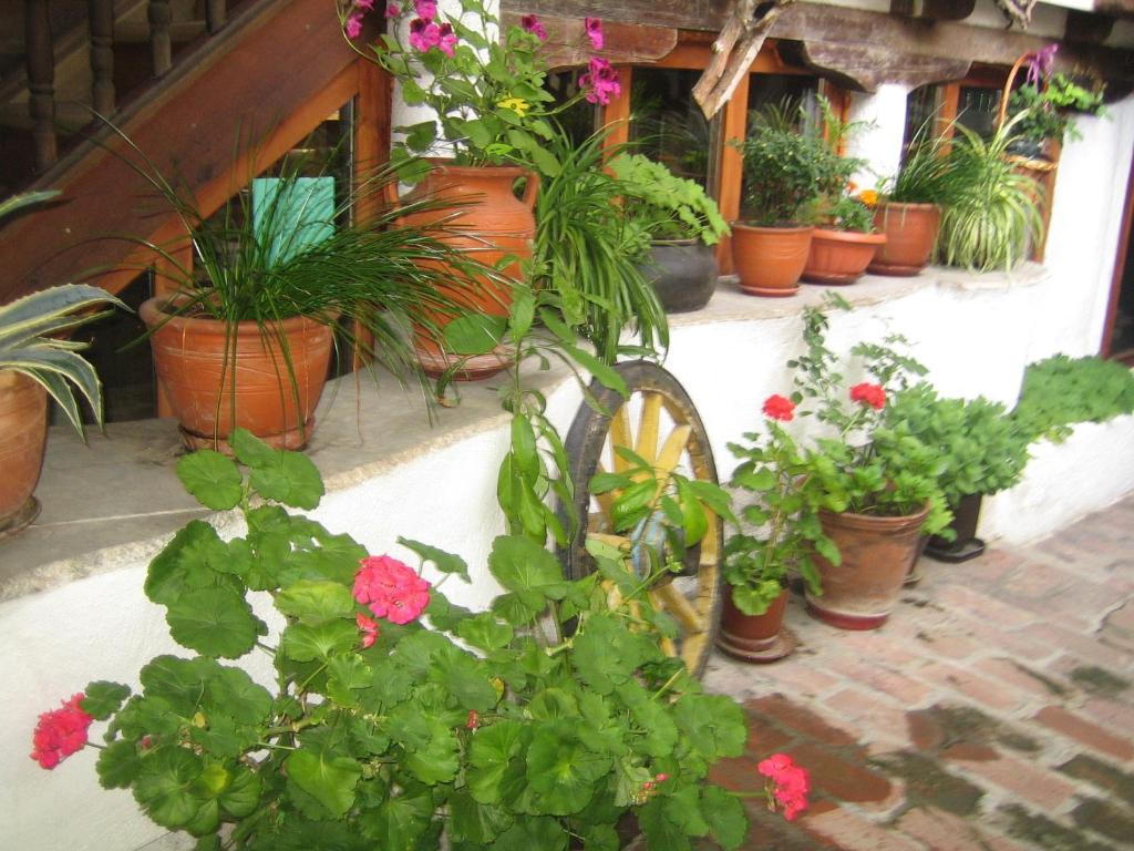 Dedo Pene Inn Bansko Ngoại thất bức ảnh